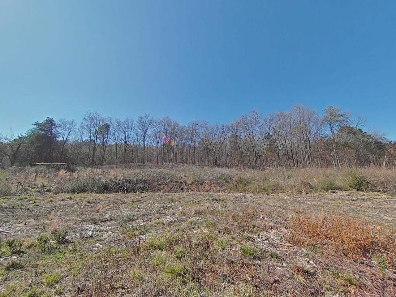 2200 Blue Springs Road Cleveland, TN 37311 - Photo 6 of 10 Gallery Image 6