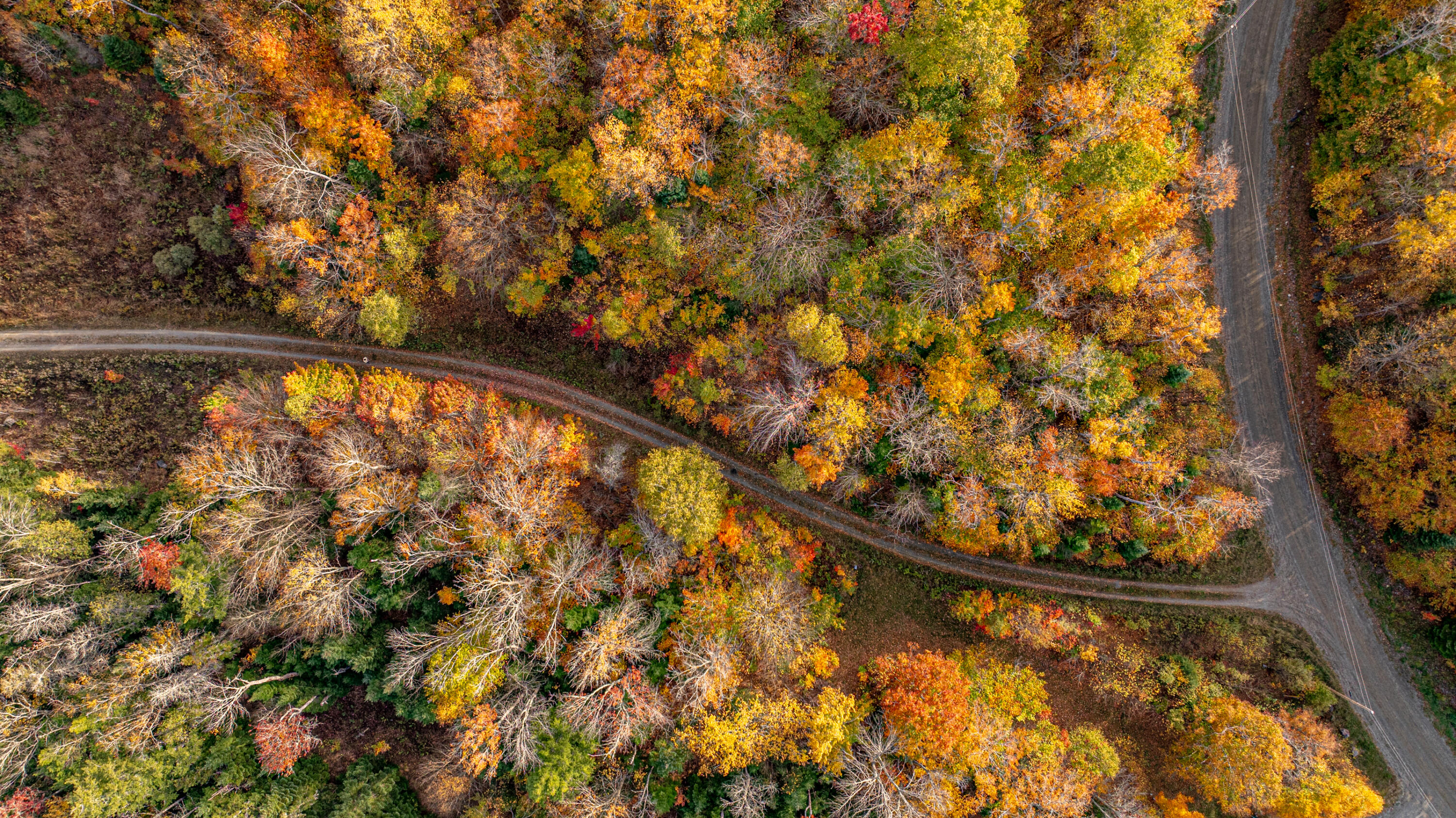 DJI_20251009122502_0130_D-2