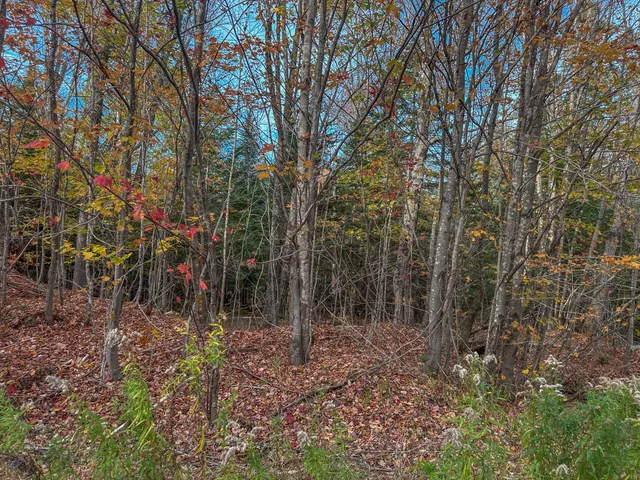 $69,900 | 13-a-1 13-a-1 Elephant Mountain, Greenville, ME 04441