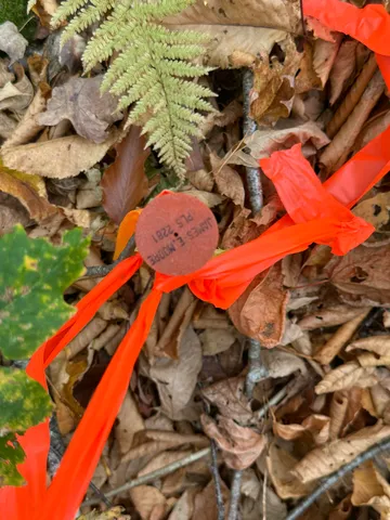 $69,900 | 13-a-1 13-a-1 Elephant Mountain, Greenville, ME 04441