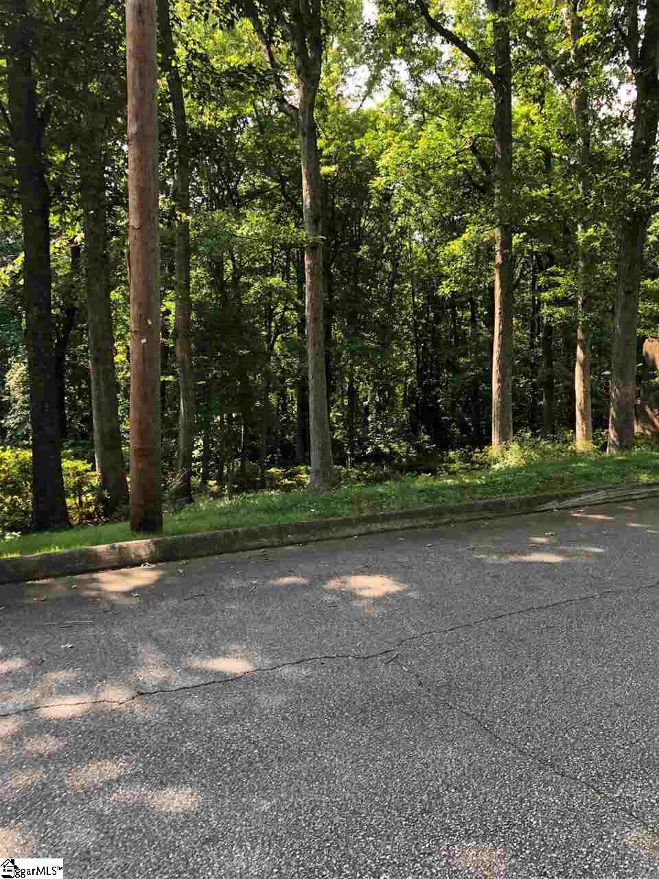 Covington Road Greenville, SC 29617 - Photo 2 of 11 Gallery Image 2