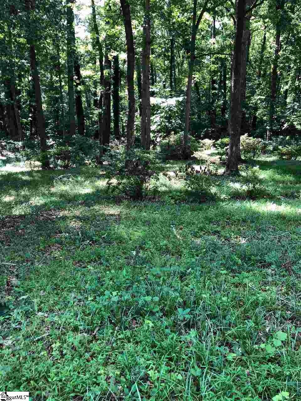 Covington Road Greenville, SC 29617 - Photo 3 of 11 Gallery Image 3