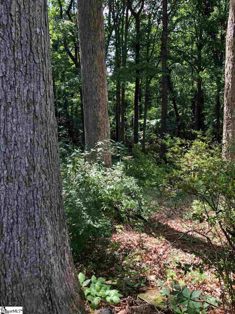 Covington Road Greenville, SC 29617 - Photo 5 of 11 Gallery Image 5