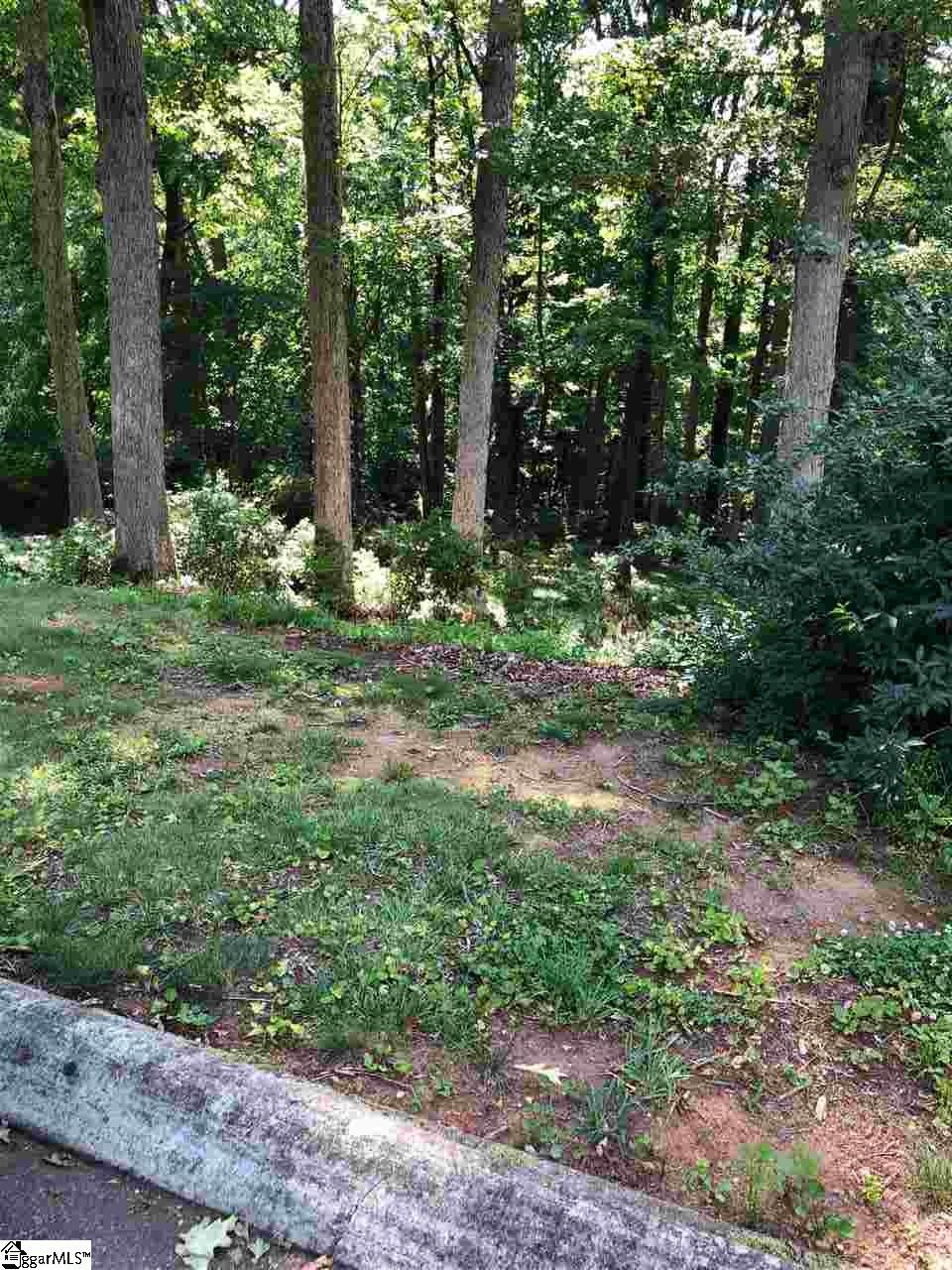 Covington Road Greenville, SC 29617 - Photo 9 of 11 Gallery Image 9