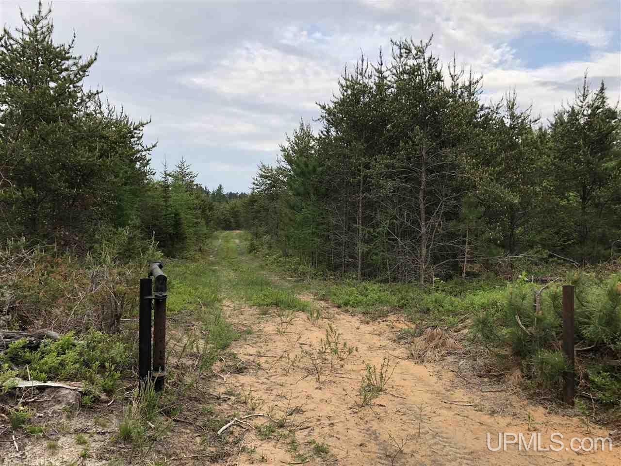 Tbd River Road, Unit PARCEL 4 Gulliver, MI 49854 - Photo 11 of 13 Gallery Image 11