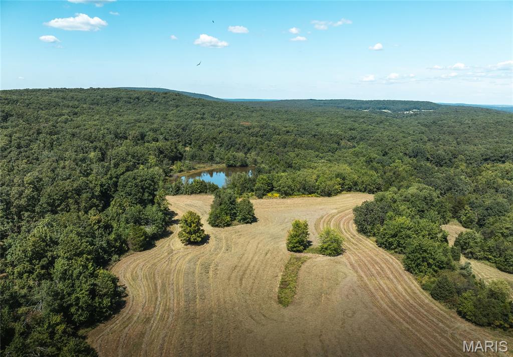 4 Buck Mountain Road Ironton, MO 63650 - Photo 1 of 27