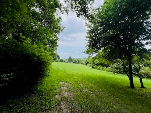 $109,000 | Lot 7-csm 337 Westmeath, Blanchardville, WI 53516