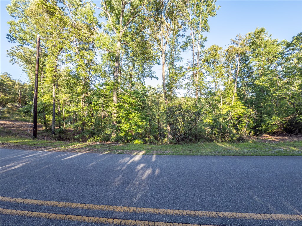 Lot 21 Old Shallowford Bridge Road Sunset, SC 29685 - Photo 5 of 14