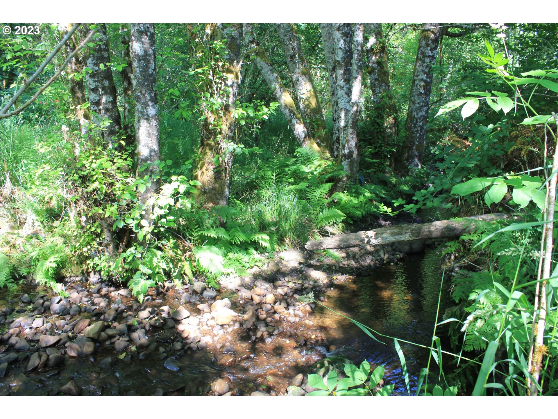 92074 Maki Road Astoria, OR 97103 - Photo 28 of 36 a view of a garden