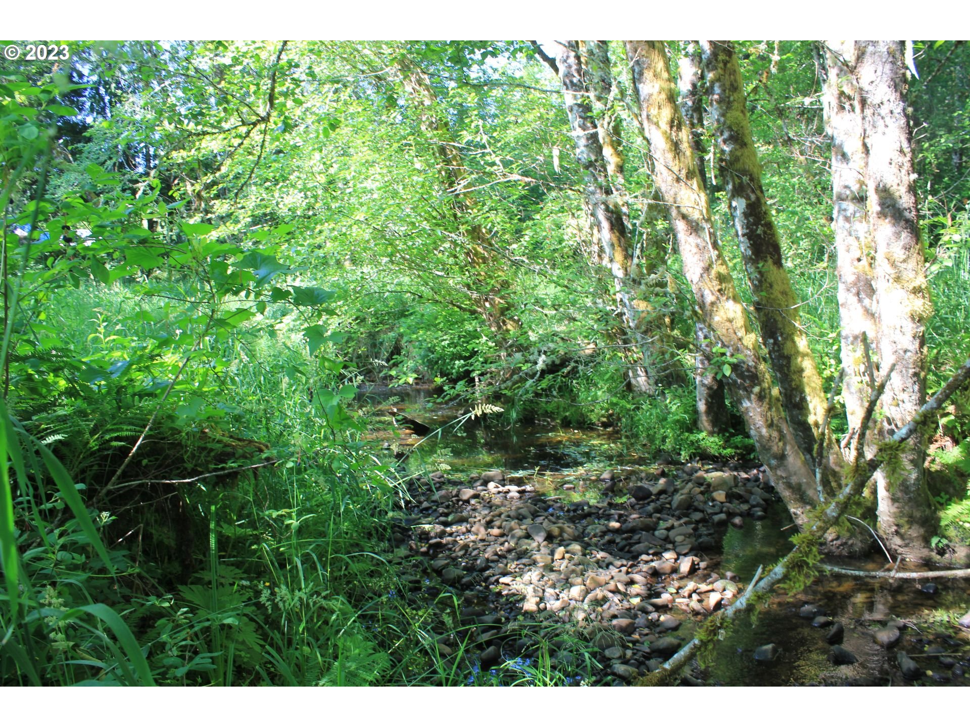 92074 Maki Road Astoria, OR 97103 - Photo 30 of 36 a view of a field of grass and trees