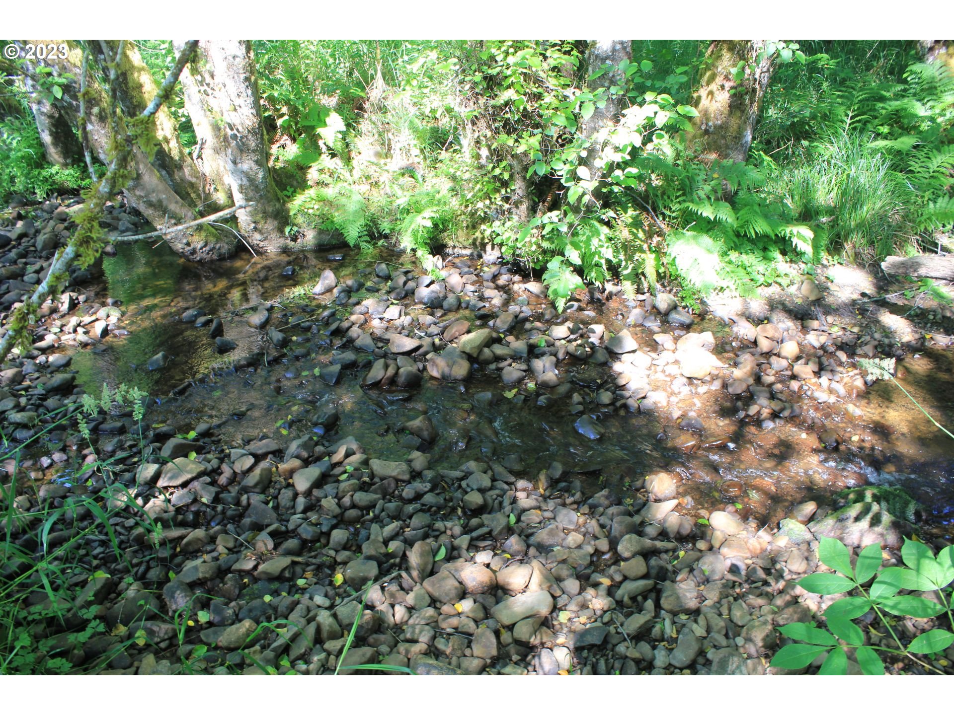 92074 Maki Road Astoria, OR 97103 - Photo 31 of 36 a view of a tree