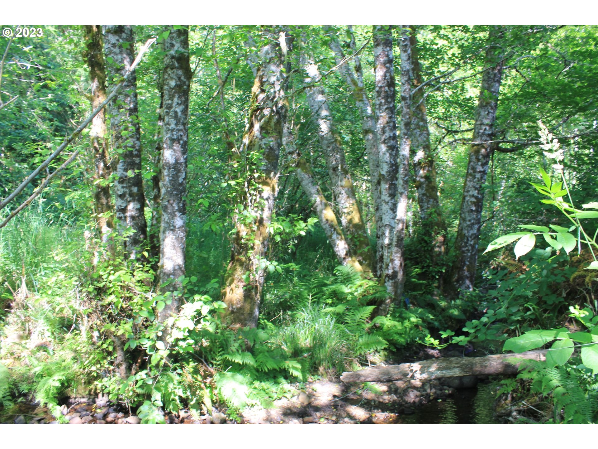 92074 Maki Road Astoria, OR 97103 - Photo 32 of 36 a view of a garden