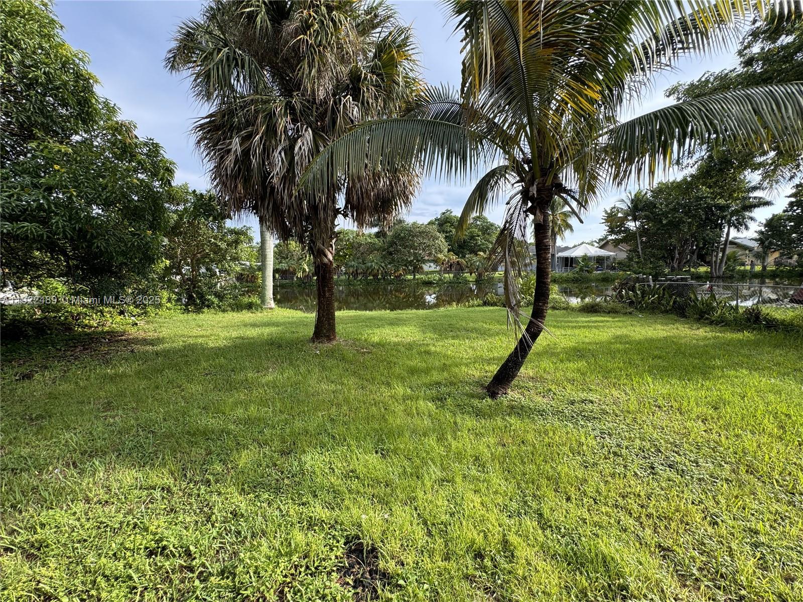 213 Southwest 5th Street Hallandale Beach, FL 33009 - Photo 7 of 17 a view of a garden with a tree