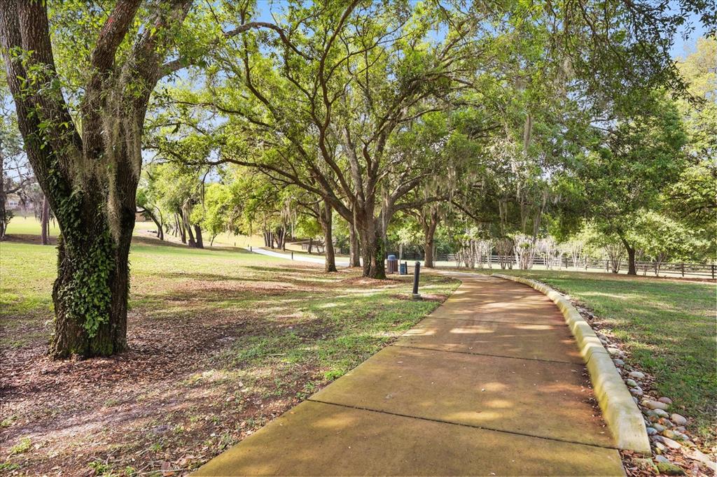 21709 Hidden Creek Mount Dora, FL 32757 - Photo 43 of 53