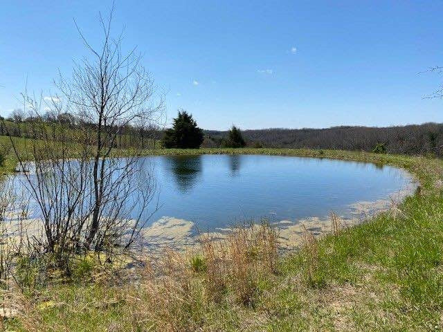 338 Toadvine Road Brooksville, KY 41004 - Photo 12 of 20 Gallery Image 12