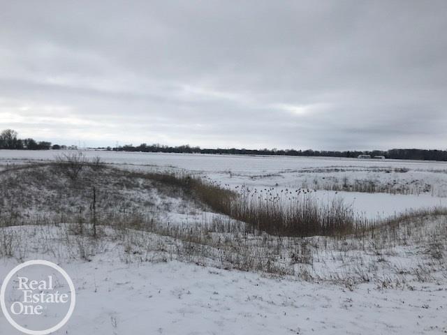 6025 Sand Road Caseville, MI 48725 - Photo 6 of 48