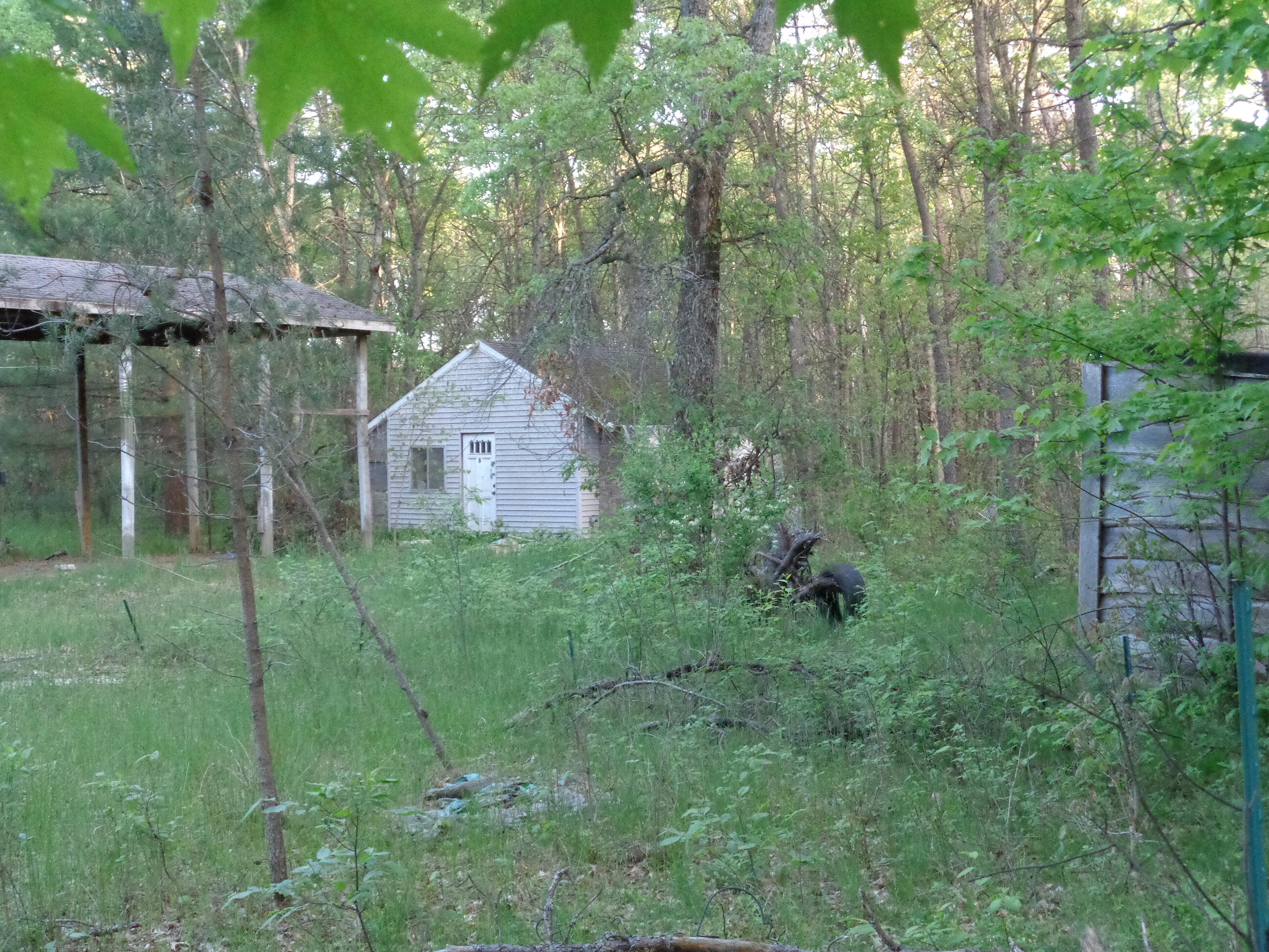 3789 South James Road Baldwin, MI 49304 - Photo 11 of 23 DSC01198