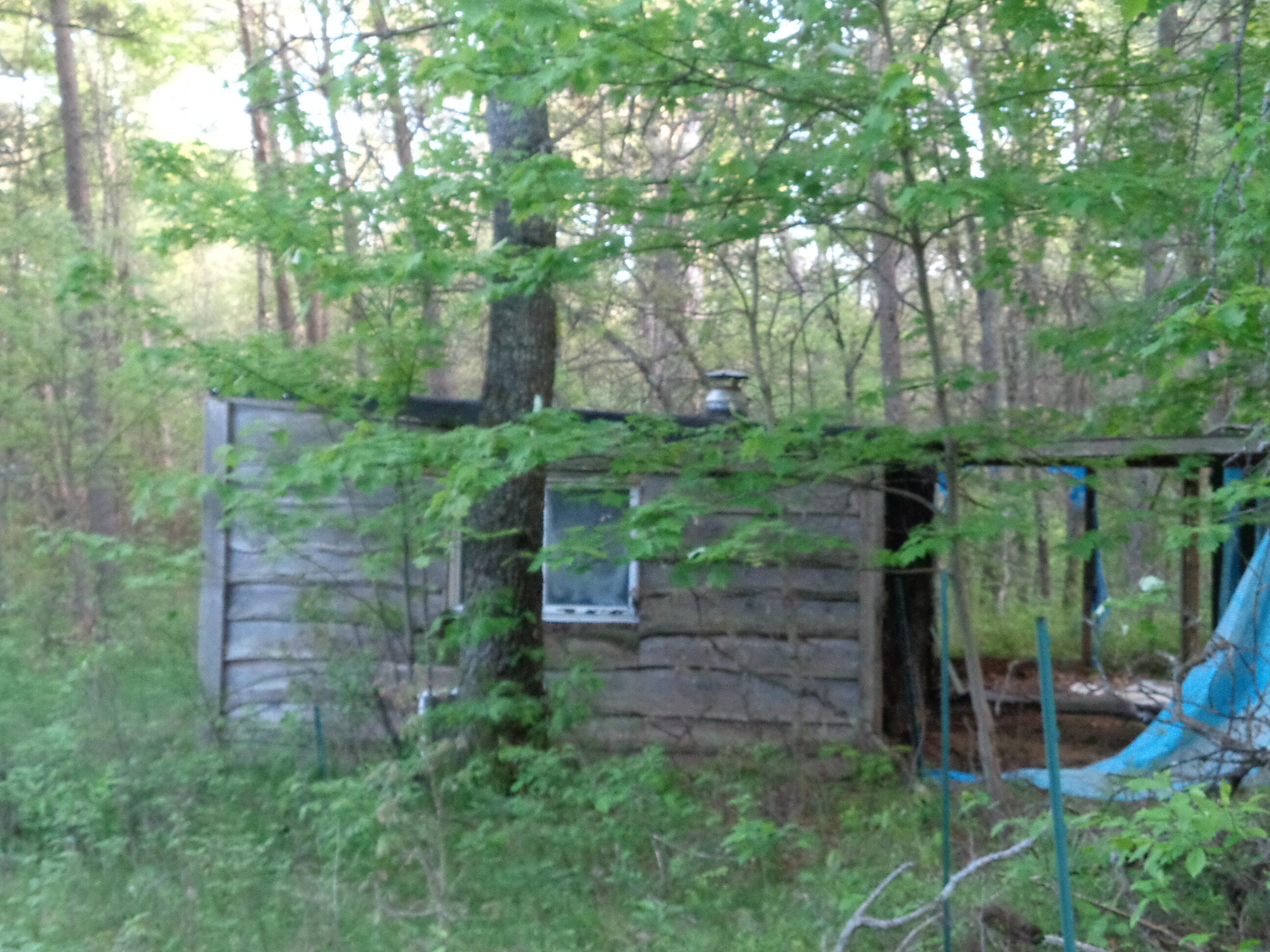 3789 South James Road Baldwin, MI 49304 - Photo 12 of 23 DSC01197