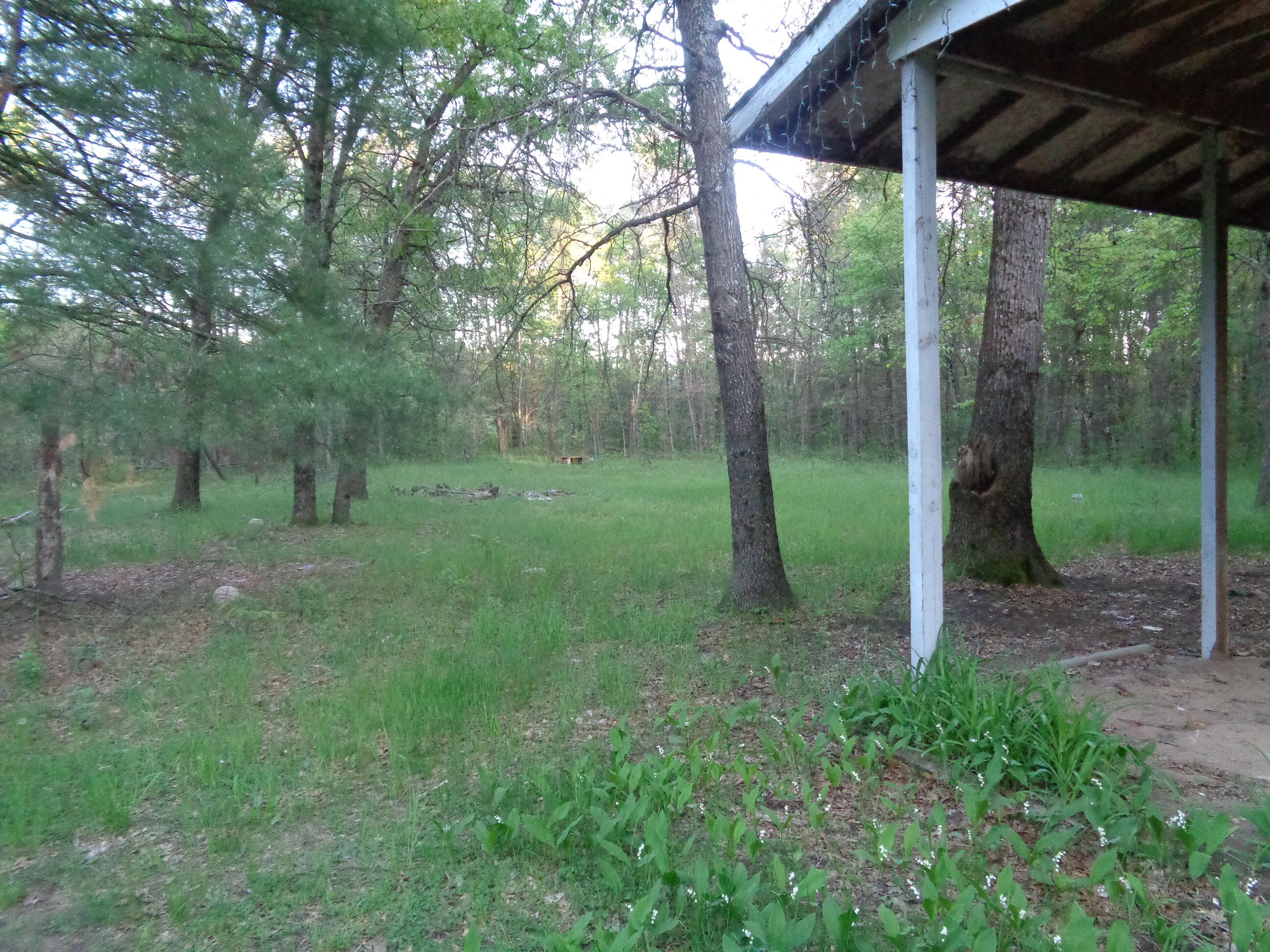 3789 South James Road Baldwin, MI 49304 - Photo 14 of 23 DSC01203