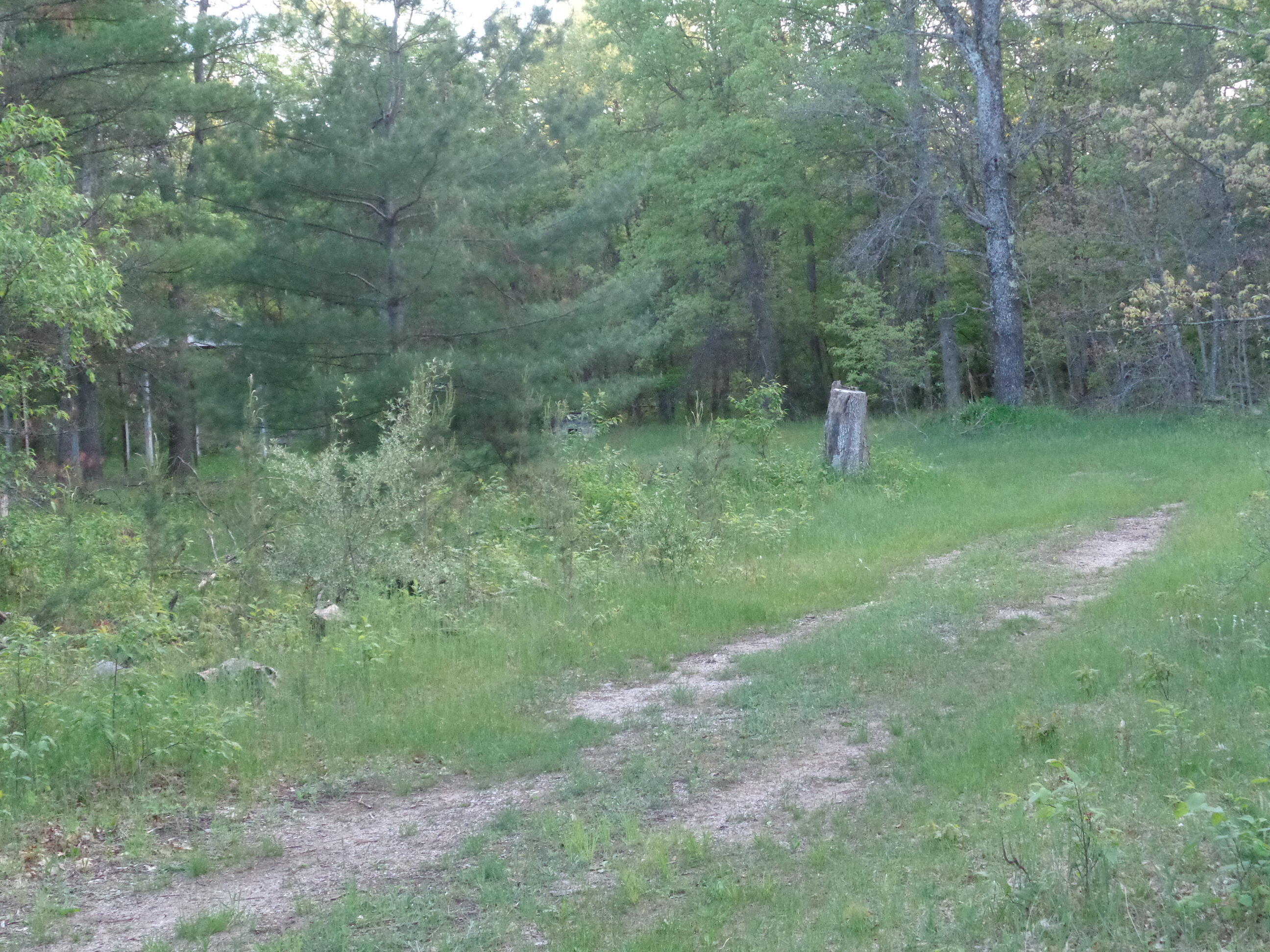 3789 South James Road Baldwin, MI 49304 - Photo 19 of 23 DSC01212