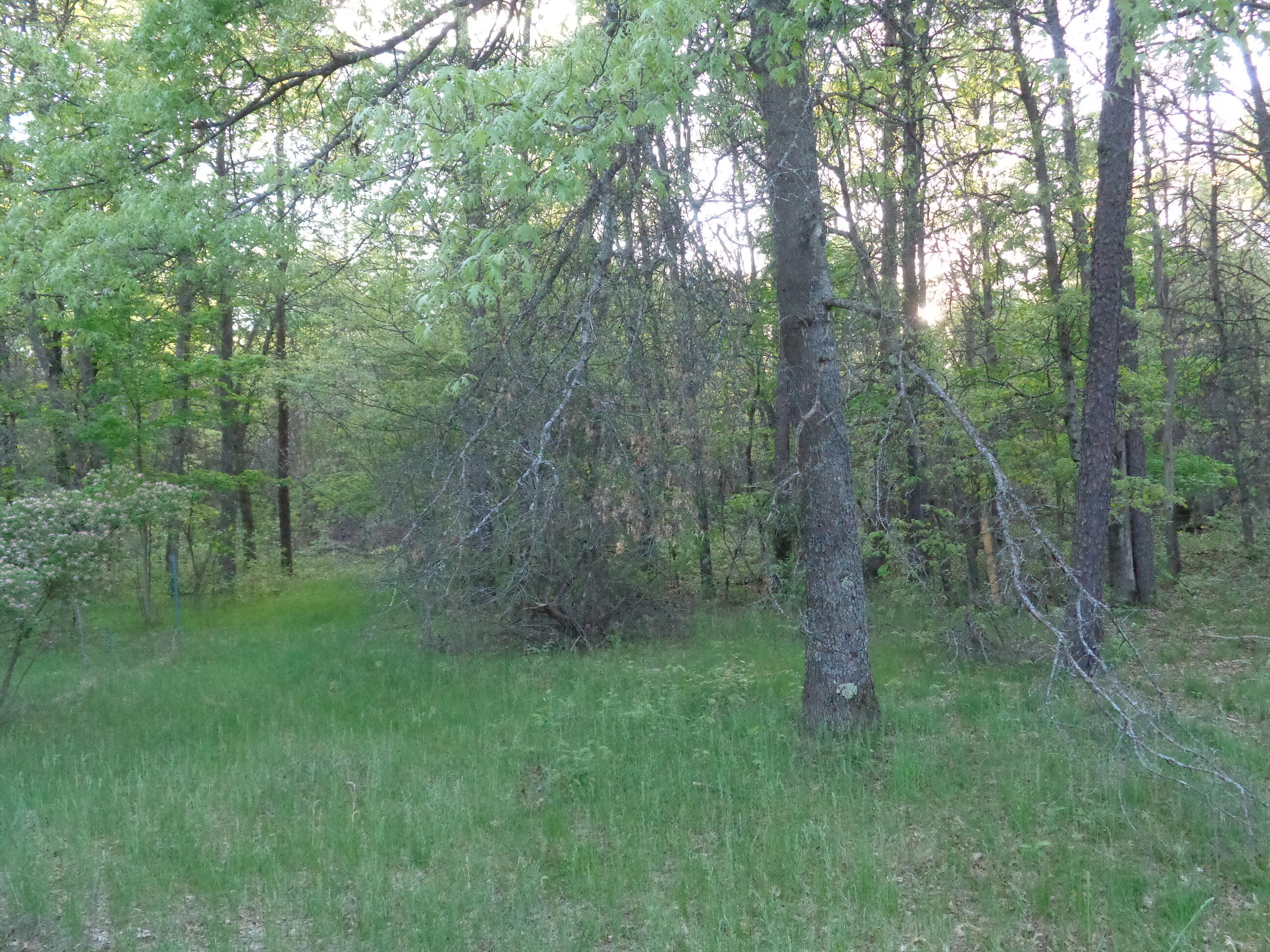3789 South James Road Baldwin, MI 49304 - Photo 8 of 23 DSC01195