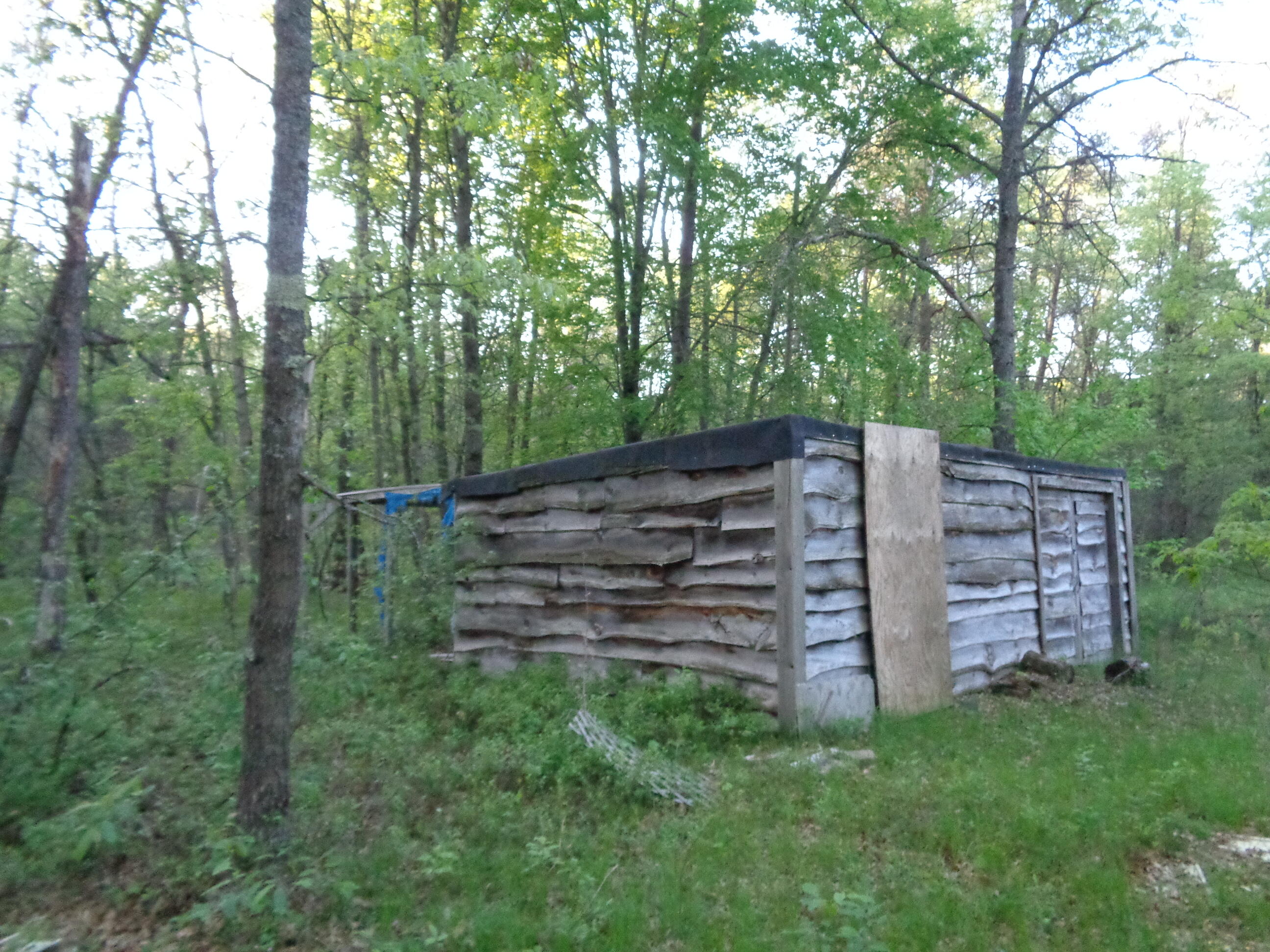 3789 South James Road Baldwin, MI 49304 - Photo 9 of 23 DSC01200