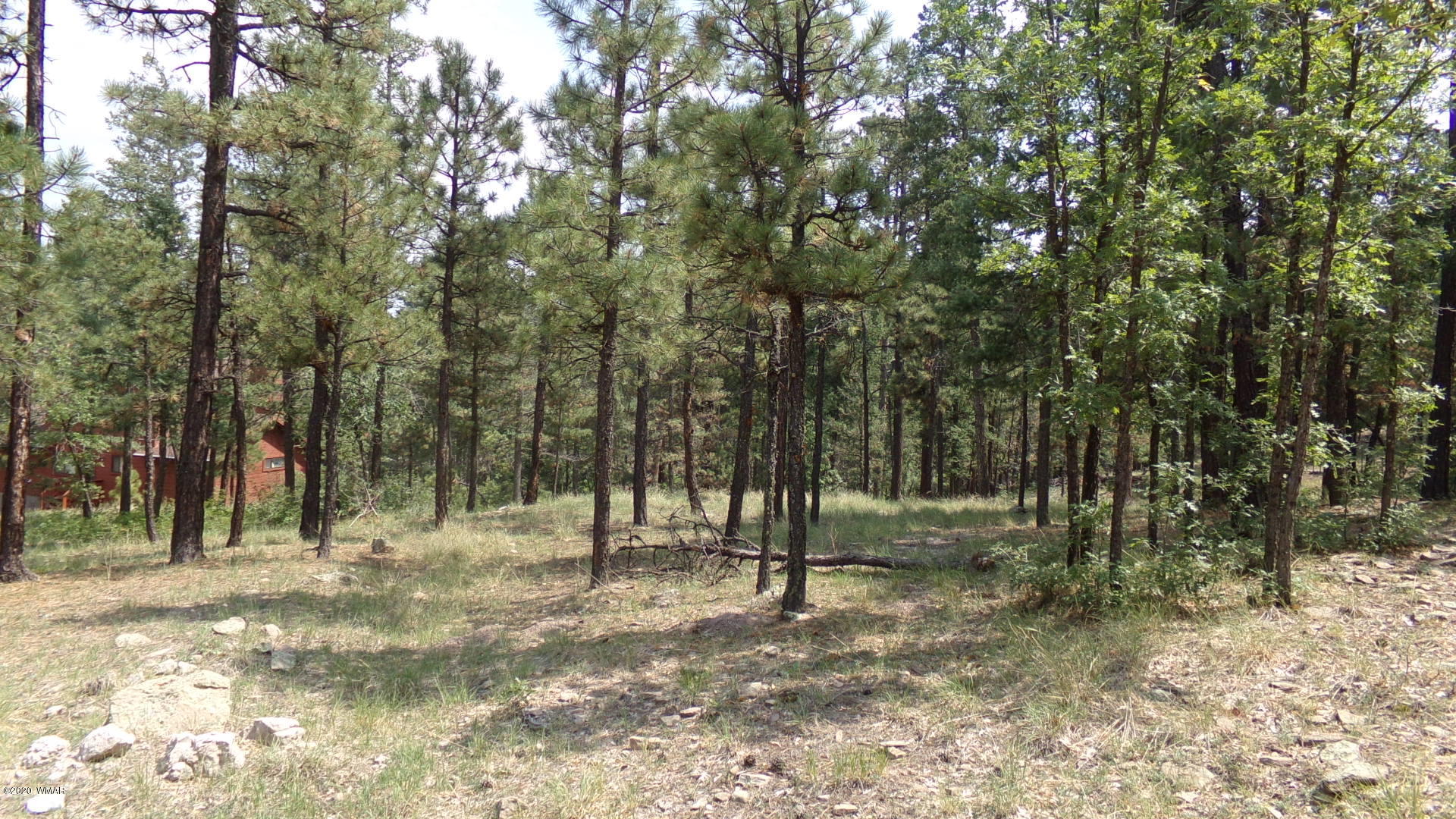 7 County Road Alpine, AZ 85920 - Photo 1 of 7