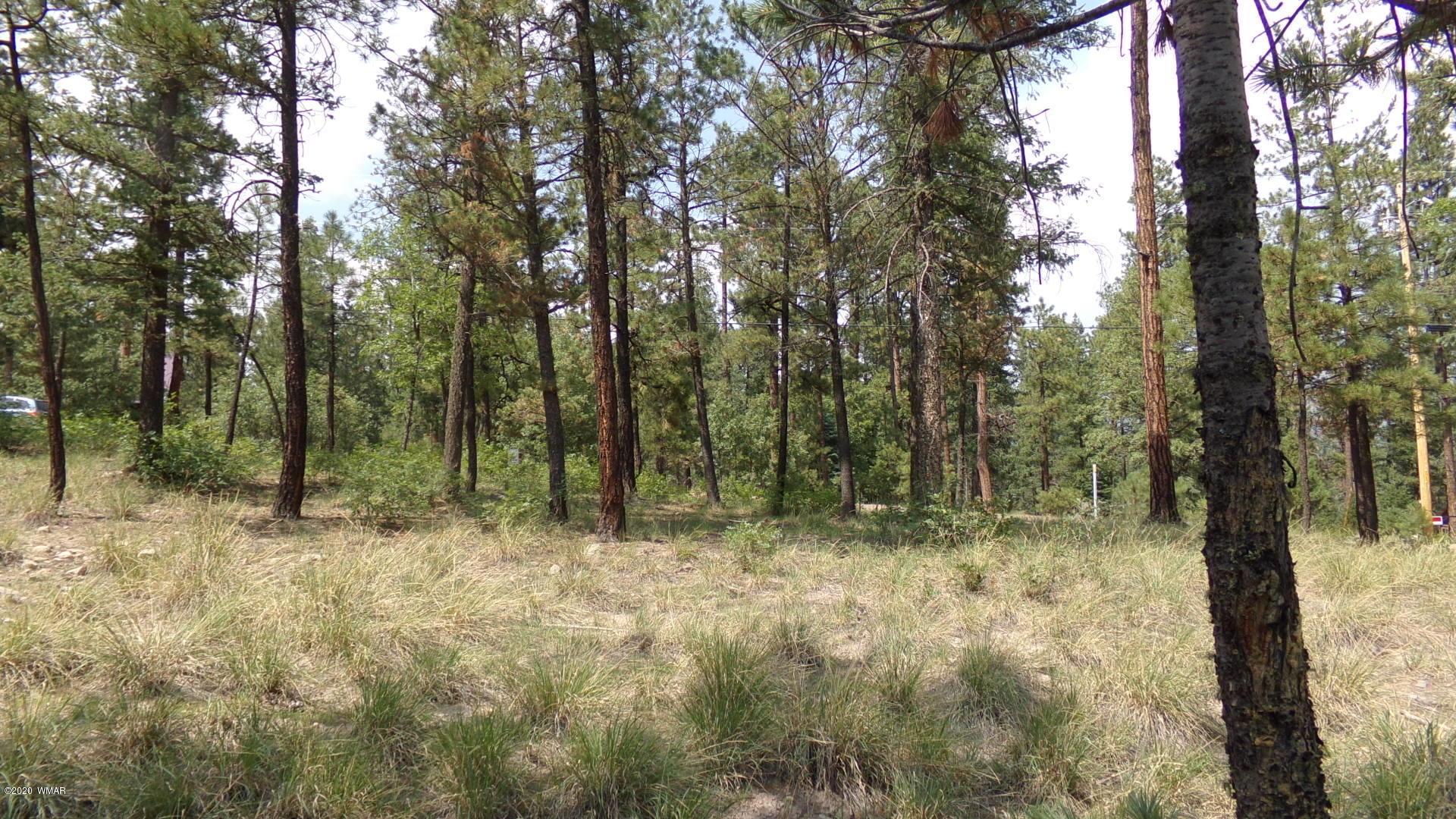7 County Road Alpine, AZ 85920 - Photo 2 of 7