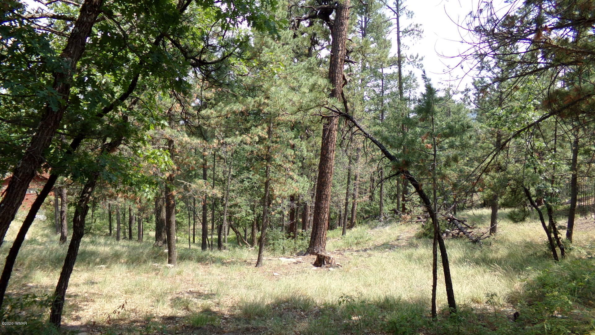 7 County Road Alpine, AZ 85920 - Photo 4 of 7