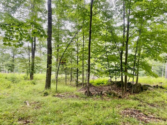 8-ac Mudgett Road Parsonsfield, ME 04047 - Photo 3 of 12 IMG_8504