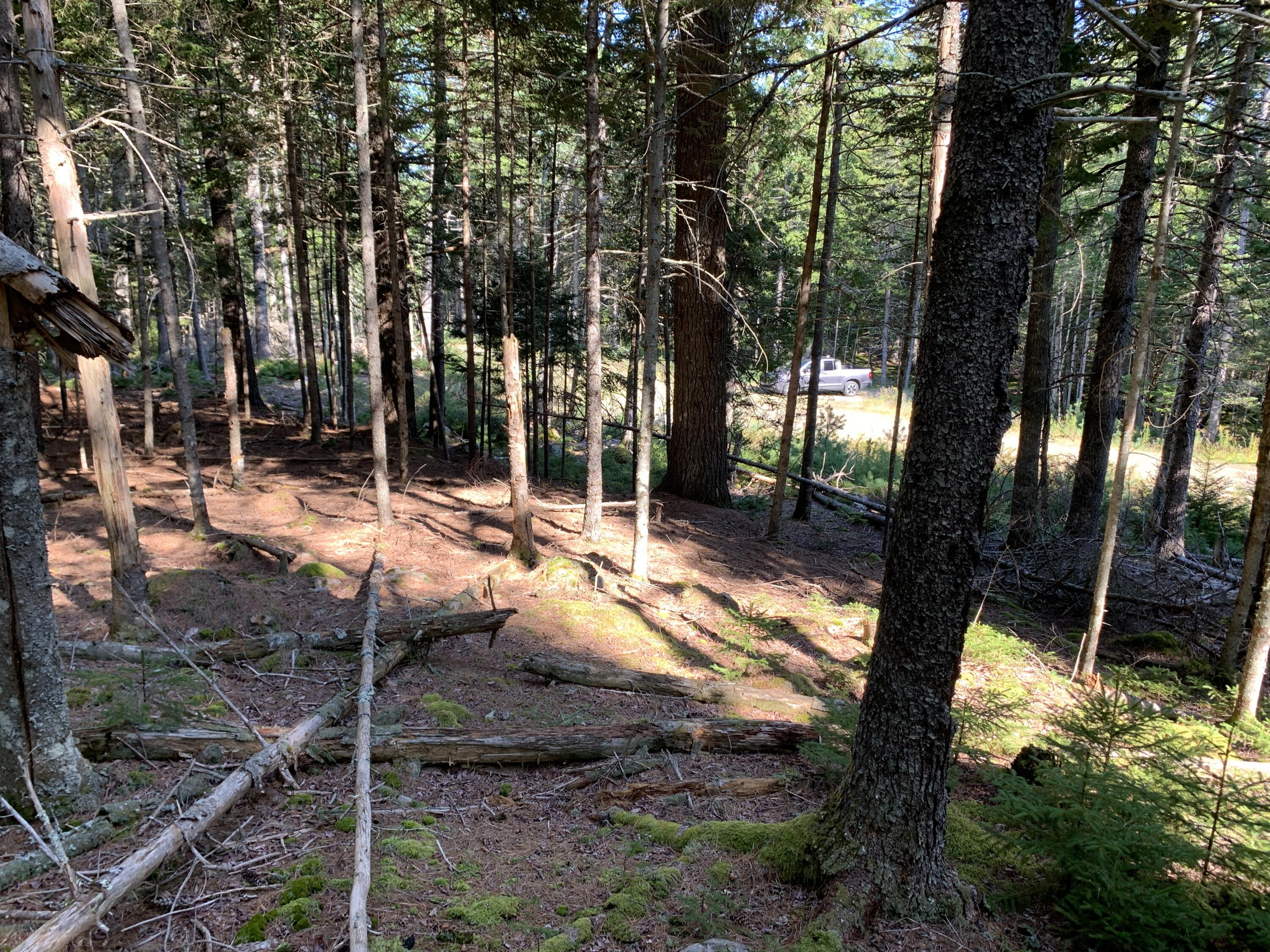 Lot B Lakeside Road Mount Desert, ME 04660 - Photo 14 of 32 IMG_6306