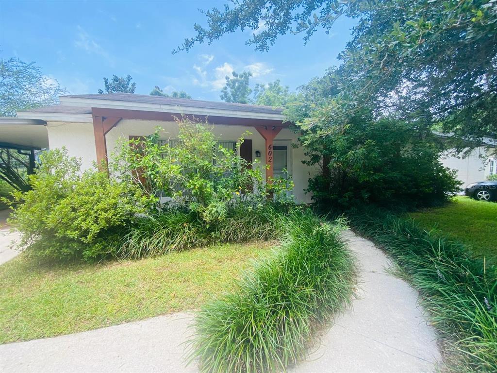 a view of a yard with plants