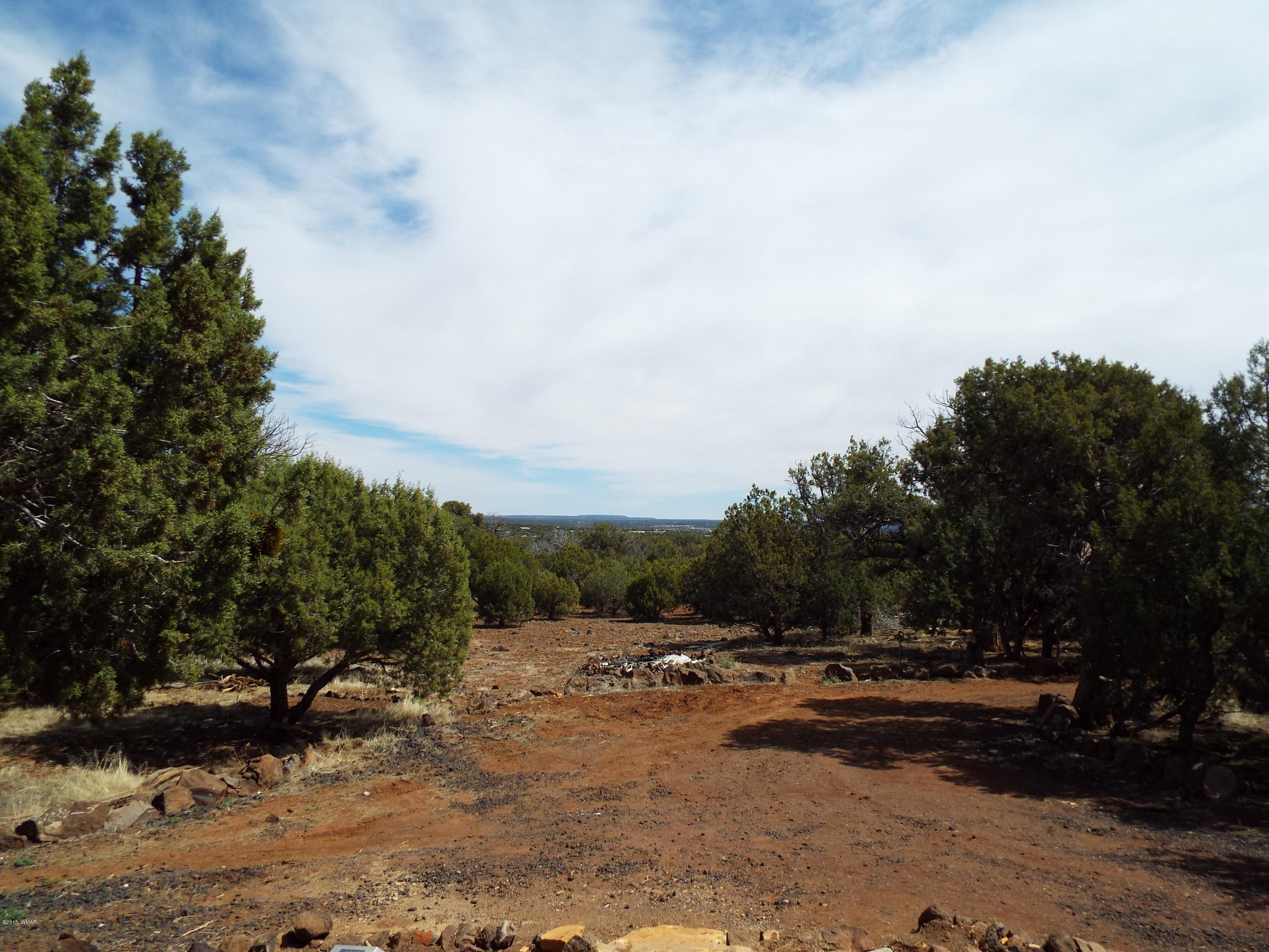 7916 Rancho Road Show Low, AZ 85901 - Photo 11 of 11