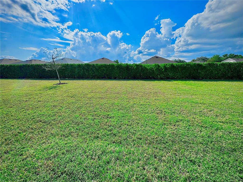 4077 Manatee Lane Punta Gorda, FL 33980 - Photo 6 of 35 a view of a big yard with a large tree