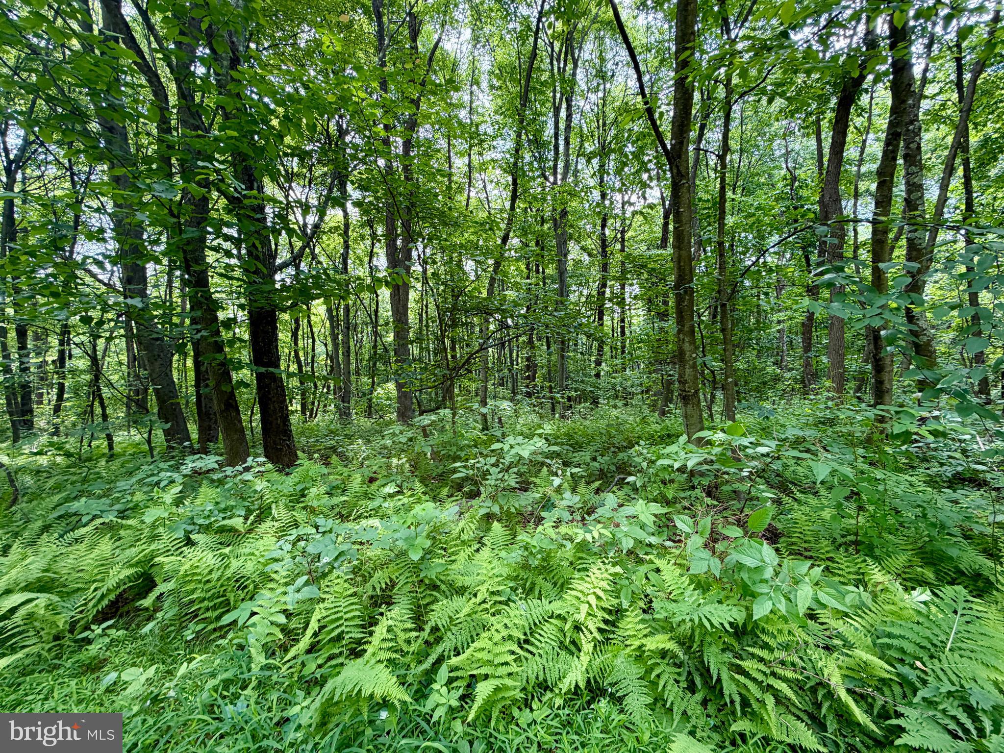 190 Thunder Rock Road Crystal Spring, PA 15536 - Photo 24 of 27