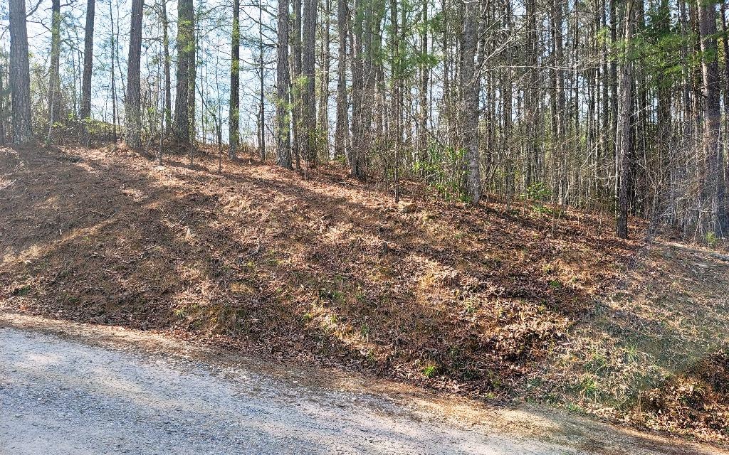 Tbd Sugar Maple Road Murphy, NC 28906 - Photo 12 of 13 Additional View