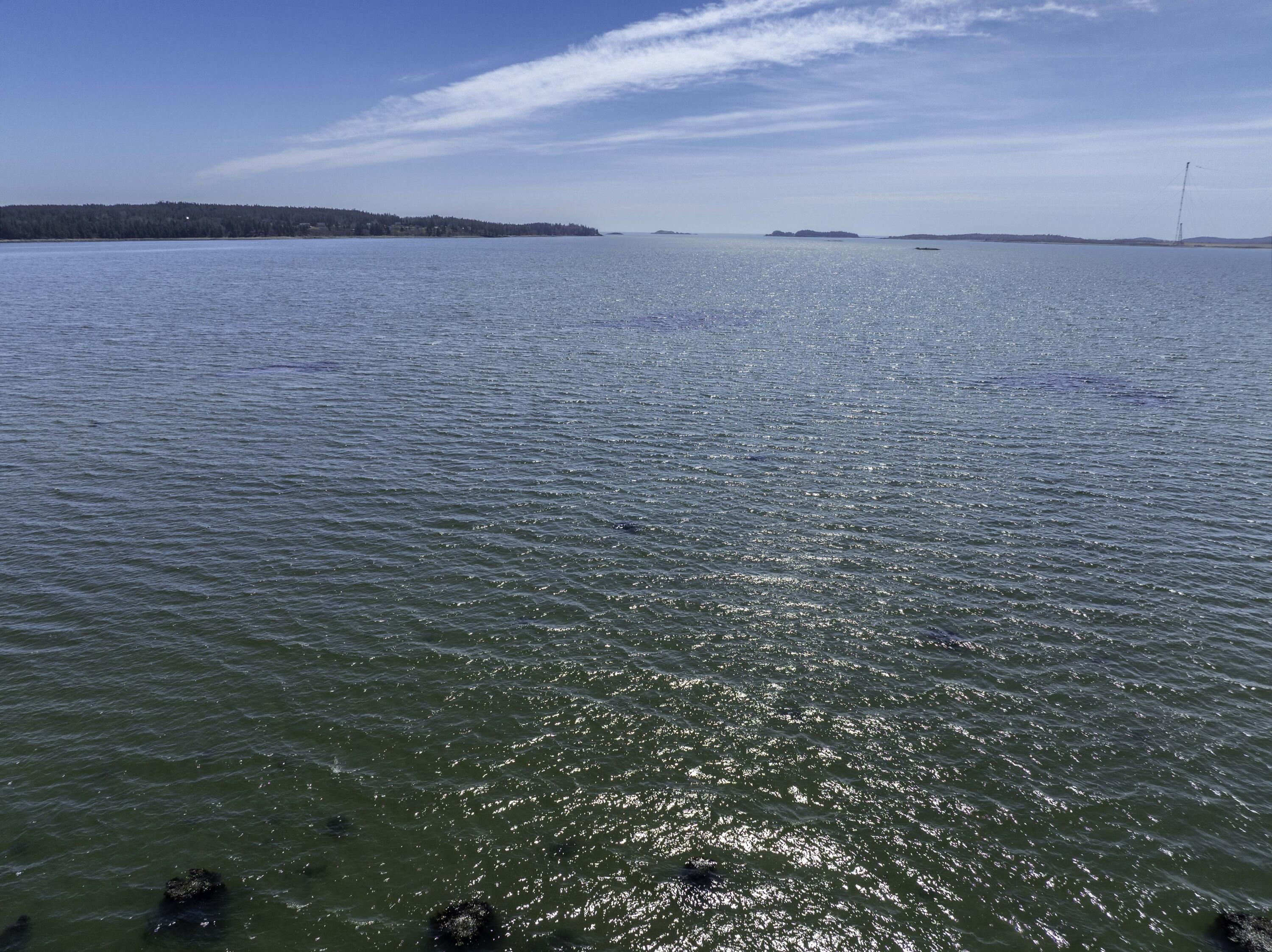 26 Ridge Road Cutler, ME 04626 - Photo 30 of 49 26 Ridge Road, Cutler (41 of 43)