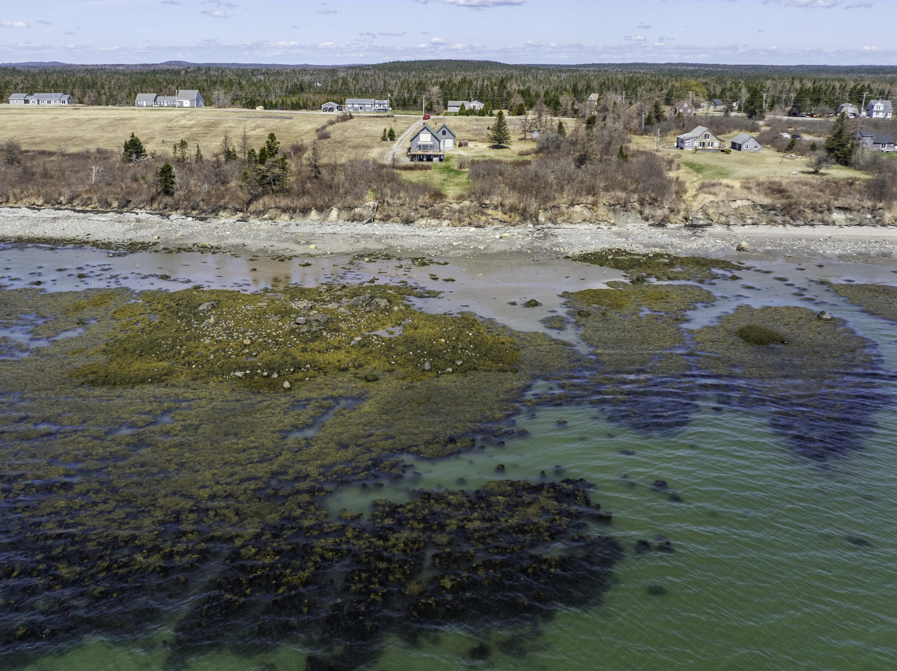 26 Ridge Road Cutler, ME 04626 - Photo 4 of 49 26 Ridge Road, Cutler (5 of 43)