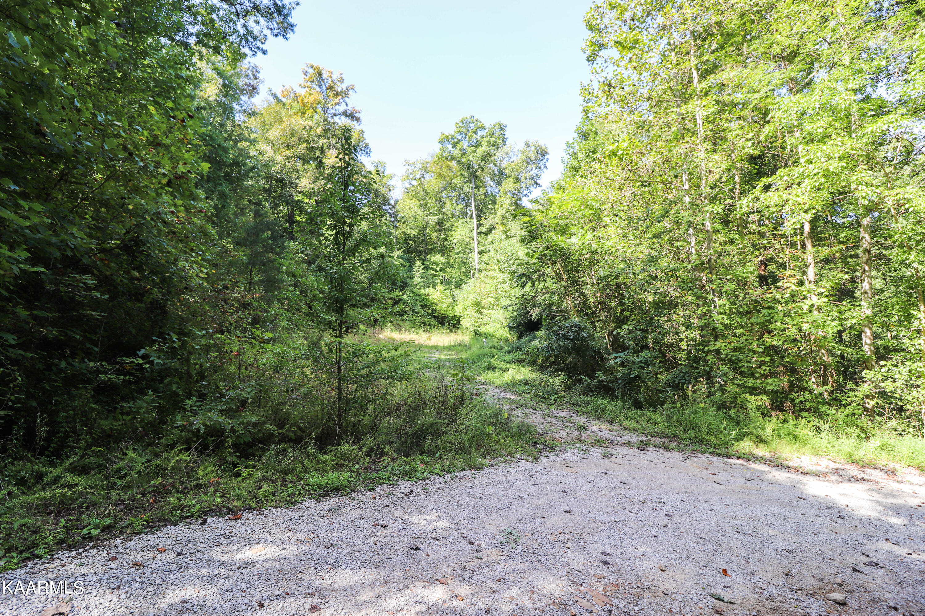Sexton Lane Lancing, TN 37770 - Photo 1 of 5 1.58 acre