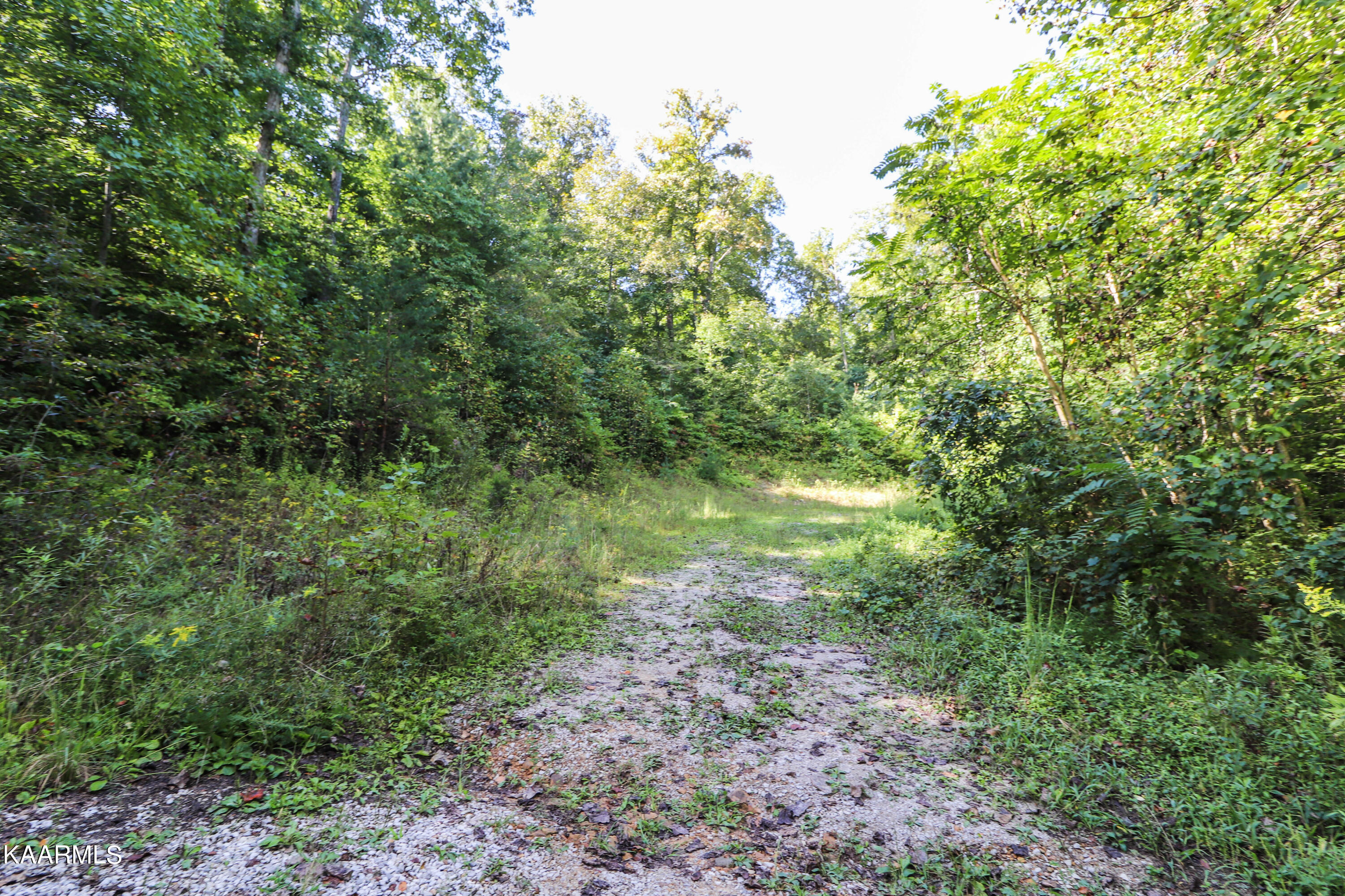 Sexton Lane Lancing, TN 37770 - Photo 2 of 5 buildable spot