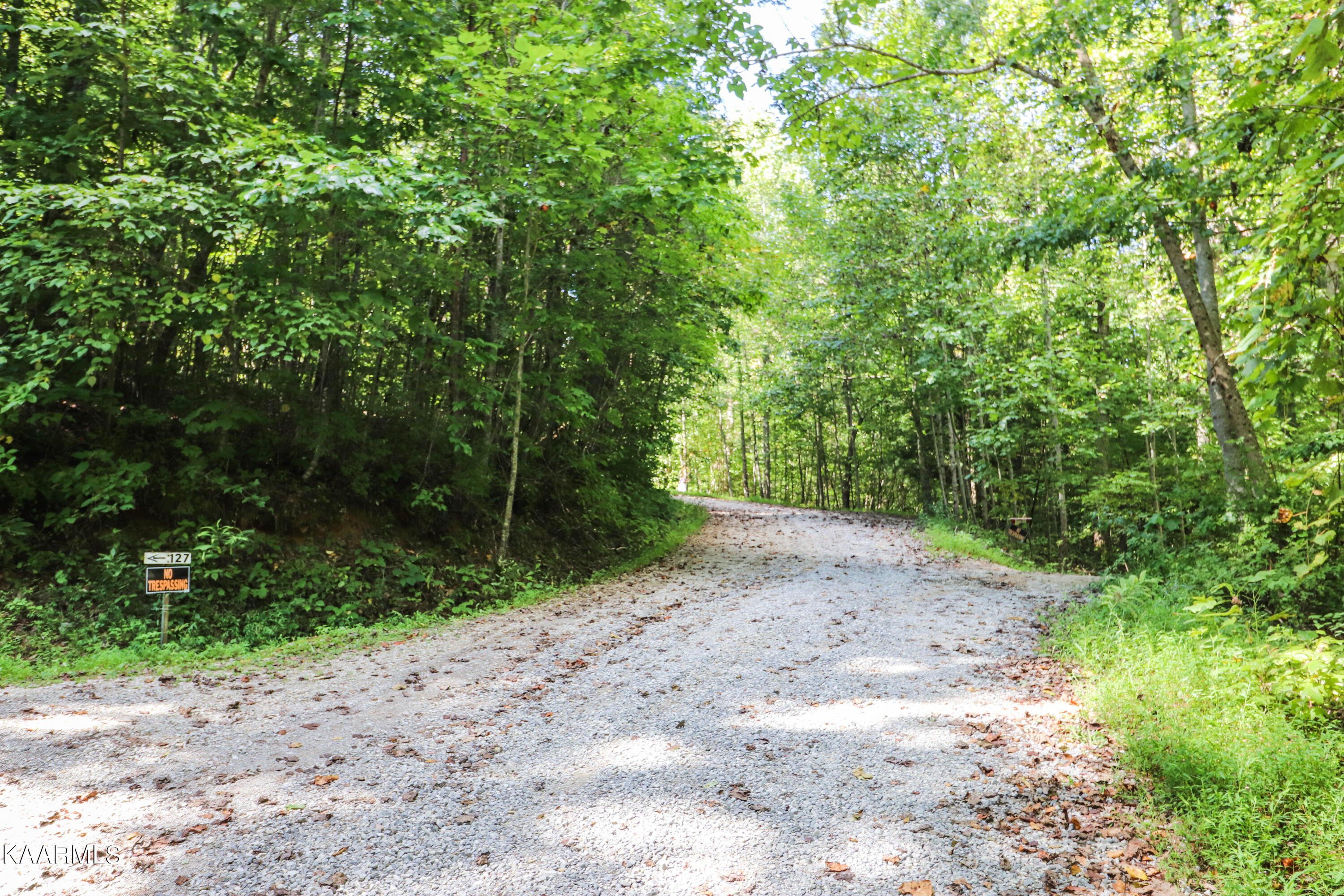 Sexton Lane Lancing, TN 37770 - Photo 5 of 5 gravel road