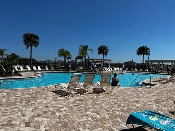 a view of a park with palm trees