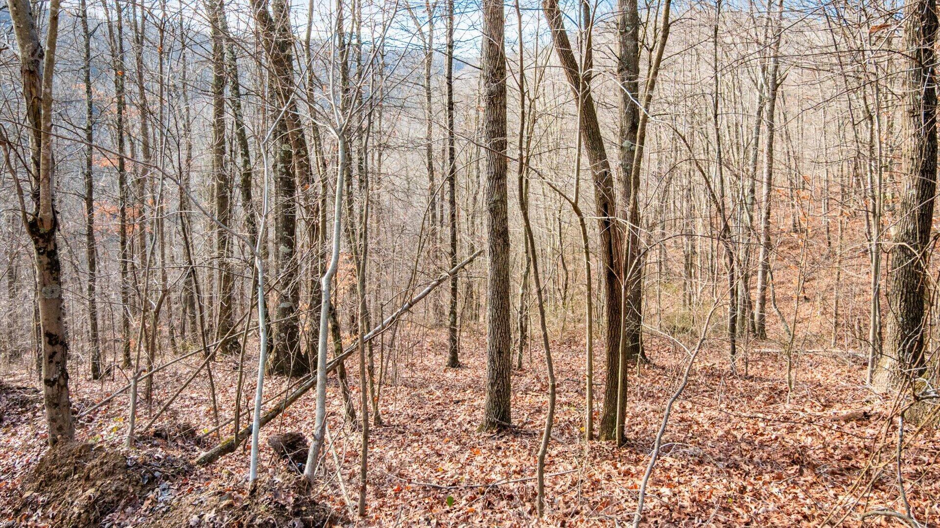 31201 Claypool Hollow Road McArthur, OH 45651 - Photo 60 of 89 058-z 31201 Claypool095