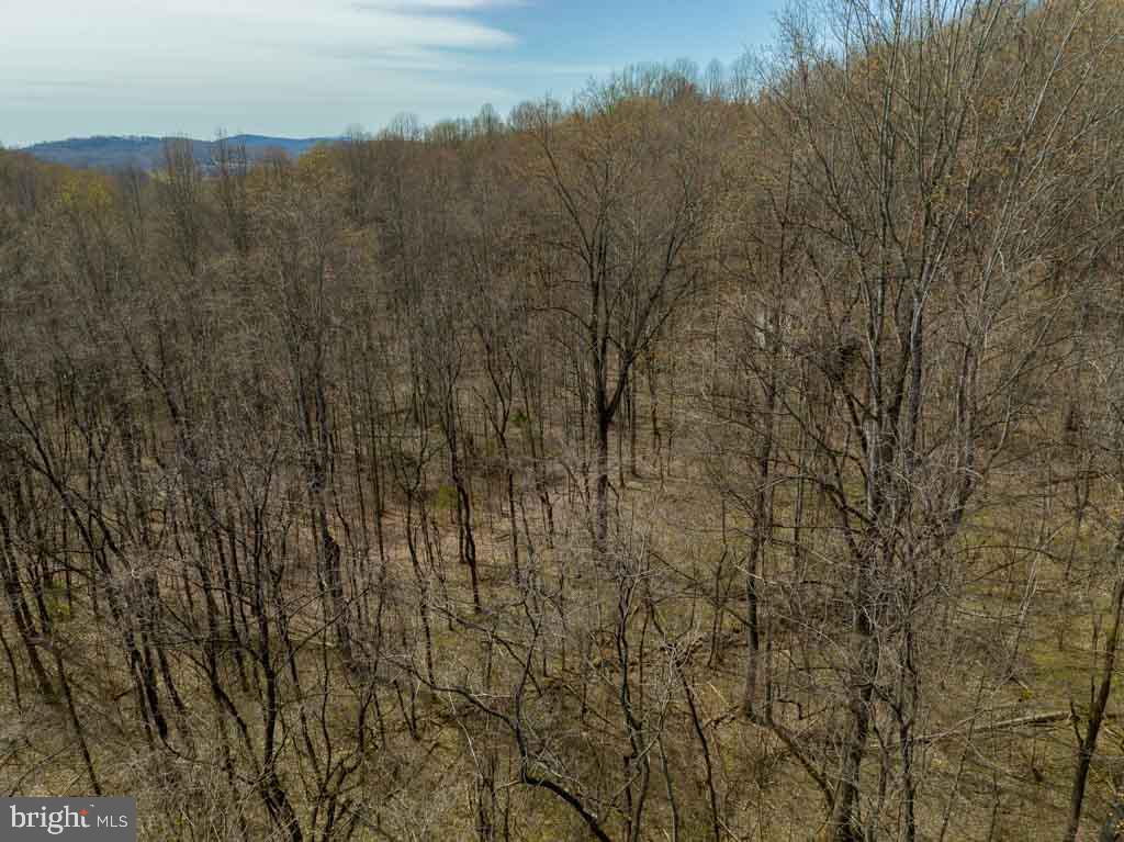 Moormont Road Rapidan, VA 22733 - Photo 3 of 14 Gallery Image 3