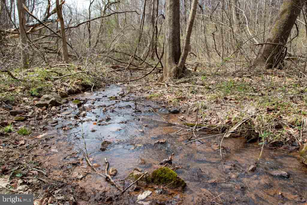 Moormont Road Rapidan, VA 22733 - Photo 4 of 14 Gallery Image 4