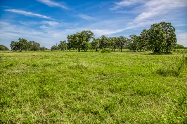 $599,000 | 14125 County Road 164, Iola, TX 77861