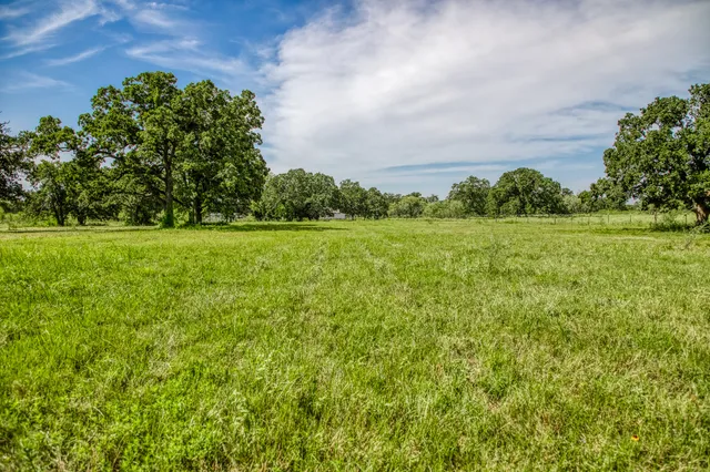 $599,000 | 14125 County Road 164, Iola, TX 77861