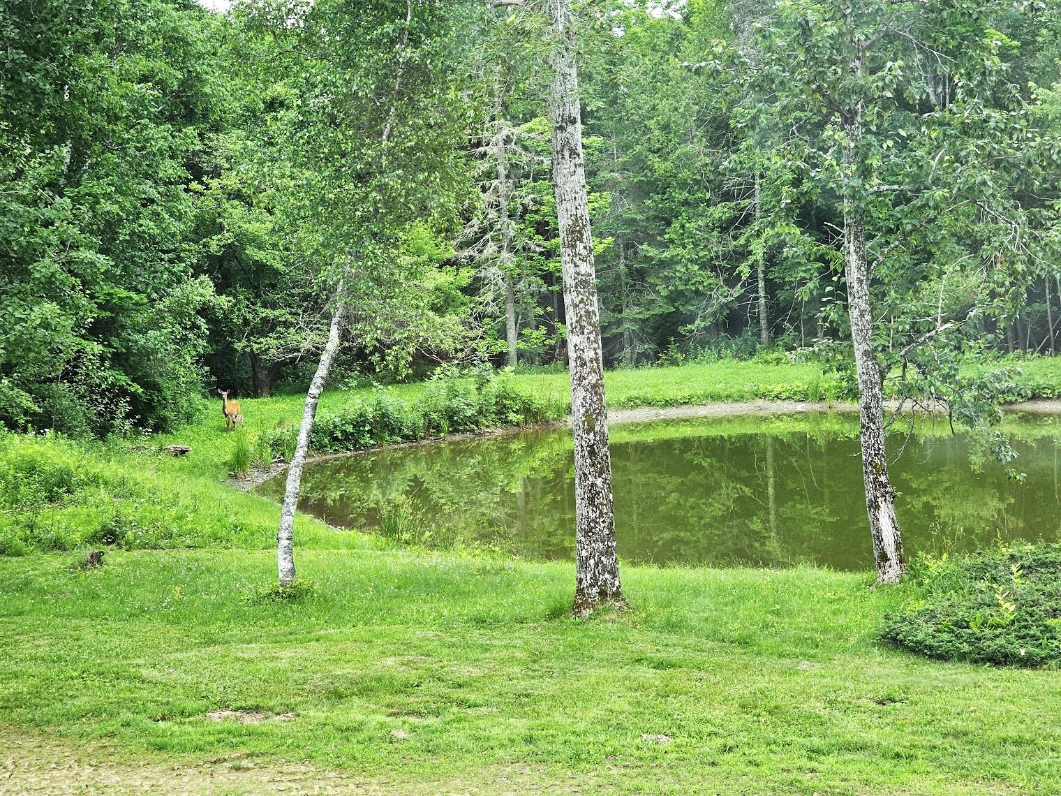 109 Smith Road Corinna, ME 04928 - Photo 9 of 59 4