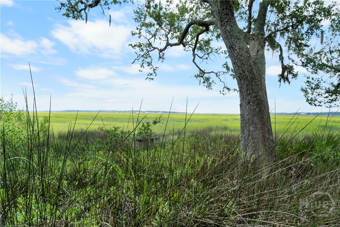3217 Coopers Point Drive Northeast Townsend, GA 31331 - Photo 53 of 71