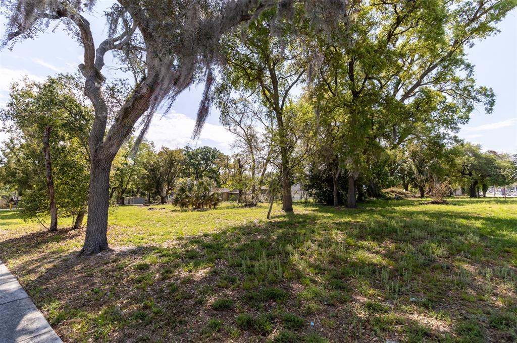 105 North Kirkman Road Orlando, FL 32811 - Photo 10 of 10 a view of a trees with a yard